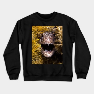 Moray Fangs Crewneck Sweatshirt